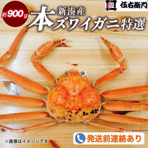 【伍右衛門】[特選]新湊産本ズワイガニ約900g｜海の幸 海鮮 お祝い 集まり メニュー 冬の味覚 茹でたて 新鮮 国産 富山県産※2026年11月～発送 ※発送まで1か月以上かかる場合があります。
