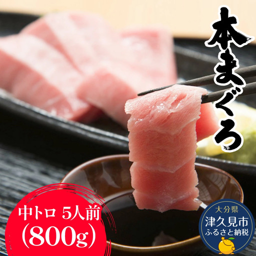 本マグロ 刺身用 中トロ 5人前 (800g) | 本マグロ 津久見市