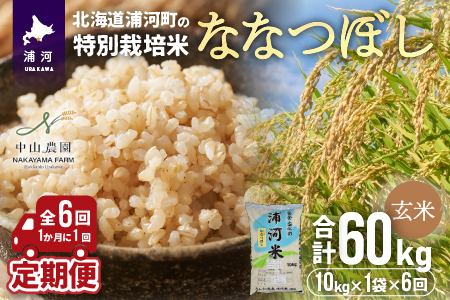 浦河の特別栽培米「ななつぼし」玄米(10kg×1袋)定期便(全6回)[37-1174]