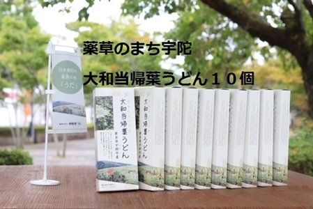薬草のまち宇陀 大和当帰葉うどん 10個／薬草 大和当帰葉 うどん ２食分 10個 奈良県 宇陀市