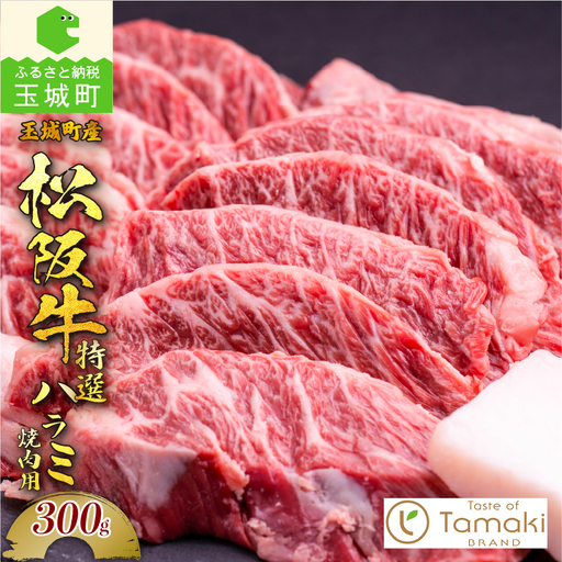 玉城町産 松阪牛特選ハラミ焼肉用 [松阪牛 ハラミ]