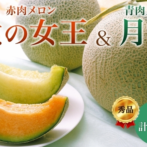 メロンセット 赤肉 北の女王 青肉 月雫 [各1玉 約1.6kg][先行予約]