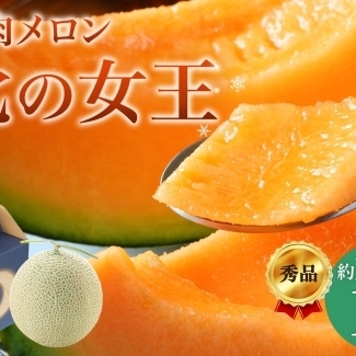 メロン 赤肉メロン 北の女王 秀品 北海道産[約1.6kg×1玉][先行予約]