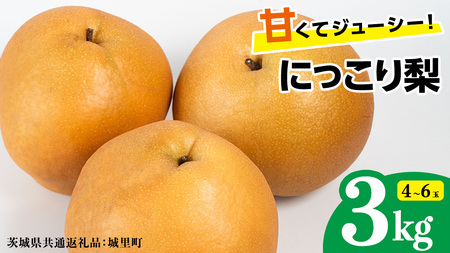 にっこり梨 約3kg 4玉〜6玉 (茨城県共通返礼品:城里町) 2026年 フルーツ 甘い お正月 クリスマス 大玉 直送 茨城 限定 [CO001sa]