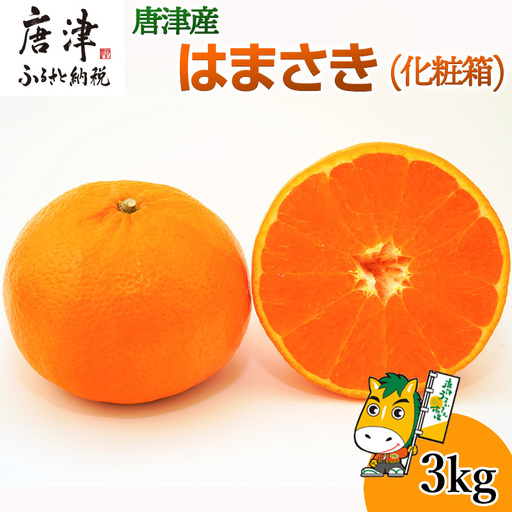 『先行予約』【令和9年1月下旬発送予定】唐津産 はまさき 3kg