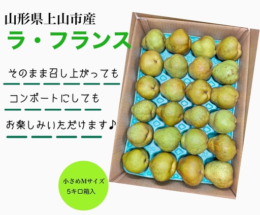 西洋梨（ラ・フランス）５ｋｇ　Ｍサイズ　ご家庭用　0055-2611