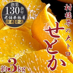 柑橘界の大トロ！せとか約3ｋｇ