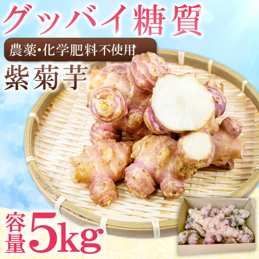 農薬化学肥料不使用の紫菊芋 5kg[菊芋 野菜 紫菊芋 芋 赤菊芋 農薬不使用 化学肥料不使用 季節限定 期間限定 数量限定 島根県 大田市]