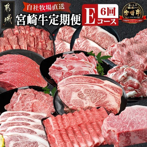 宮崎牛定期便(6回お届け) Eコース〔N25-005-T6〕_(都城市) 