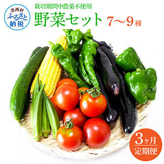 野菜セット（7‐9種類） 《3カ月定期便》 