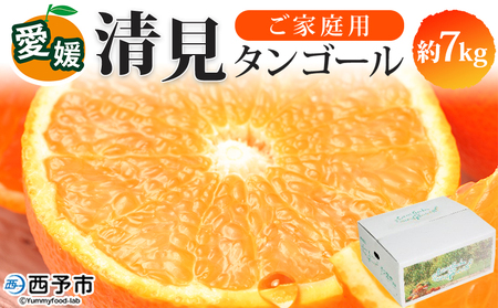 ＜愛媛県西予市産 清見タンゴール ご家庭用 約7kg＞ 訳あり ワケアリ 果物 フルーツ みかん ミカン 蜜柑 オレンジ きよみ キヨミ 柑橘類 食べて応援 旬 特産品 宇都宮物産 愛媛県 西予市【常温】『2026年3月上旬～5月上旬迄に順次出荷予定』UUB0030