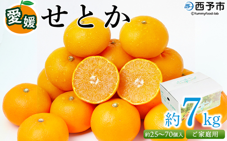 ＜愛媛県西予市産 せとか ご家庭用 約7kg＞ 訳あり 不揃い 傷 果物 フルーツ みかん ミカン 蜜柑 セトカ オレンジ 柑橘類 選べる 甘い 期間限定 食べて応援 特産品 宇都宮物産 【常温】『2027年2月下旬～4月上旬迄に順次出荷予定』UUB0032