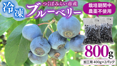 つくばみらい市 産 冷凍 ブルーベリー 800g ( 400g ×2パック )