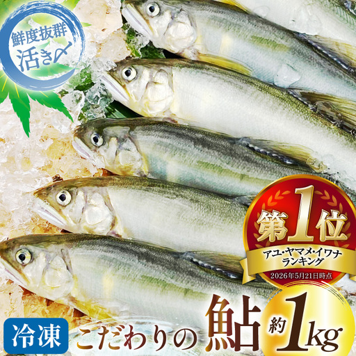 鮎 冷凍 こだわりの鮎 約1kg あゆ