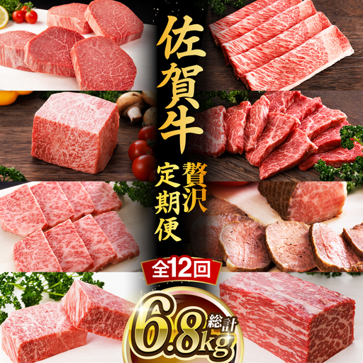 【全12回】佐賀牛 牛肉定期便 約2-3人前 総計6.8kg UCC004 牛肉