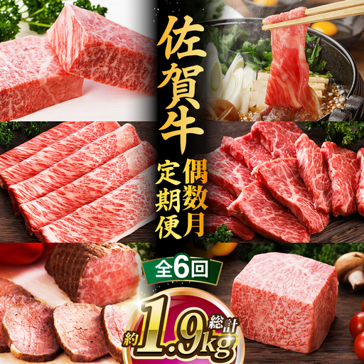 [全6回・偶数月] 佐賀牛 肉定期便 約2-3人前 