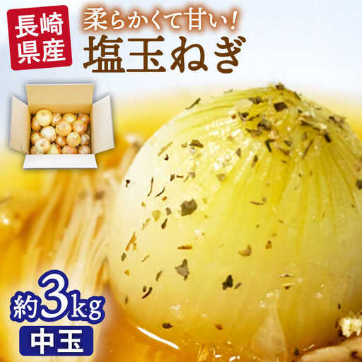 [2027年3月中旬-発送]塩玉ねぎ 約3kg [SCB056] 玉ねぎ