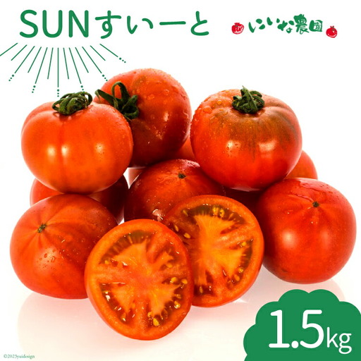 [期間限定発送] トマト SUNすいーと 1.5kg×1箱