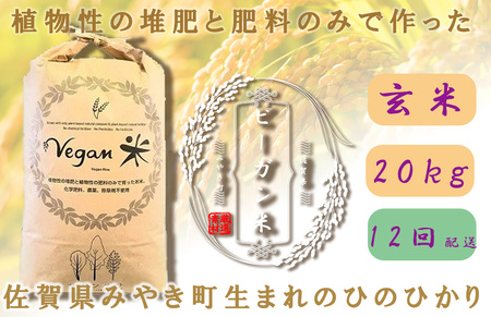 CQ034_【12か月定期便】ビーガン米20kg　玄米【植物性で育てた完全無農薬のサガンベジブランド】