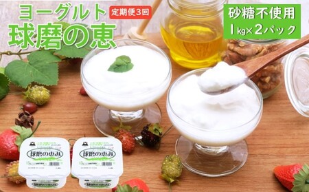 ヨーグルト 球磨の恵ヨーグルト 無糖 砂糖不使用 ヨーグルト[1kg×2パック][定期便3回]
