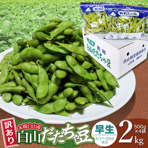 [令和8年産先行予約][訳あり]本場白山産 白山だだちゃ豆[早生(わせ)] 2kg(500g×4袋) 農家 長四郎