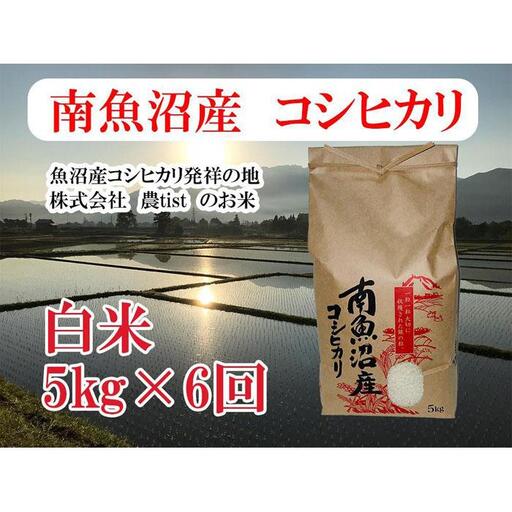 【令和7年産】【定期便 南魚沼産】コシヒカリ 白米5kg×6回【定期便 銘柄米 ブランド米 精米 こしひかり コシヒカリ 魚沼産 新潟米 産地直送 お米 米 こめ コメ ご飯 御飯 ごはん】