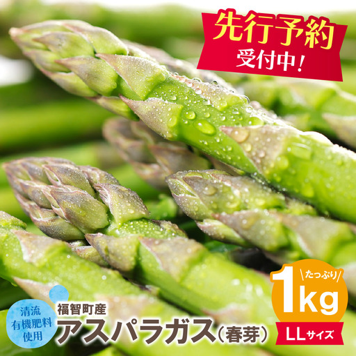 Z61-191-03 清流・有機肥料使用 アスパラガス(春芽) 1kg(LL) [2027年4月より順次出荷]