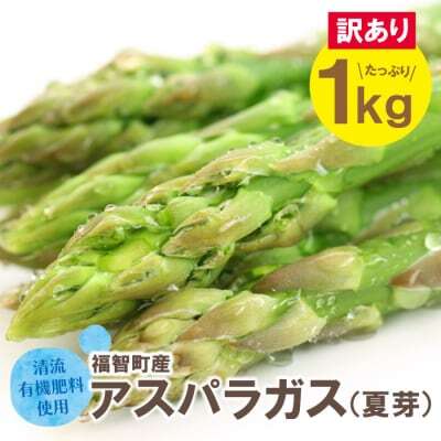  [訳あり]清流・有機肥料使用 アスパラガス(夏芽) 1kg [2026年6月より順次出荷]