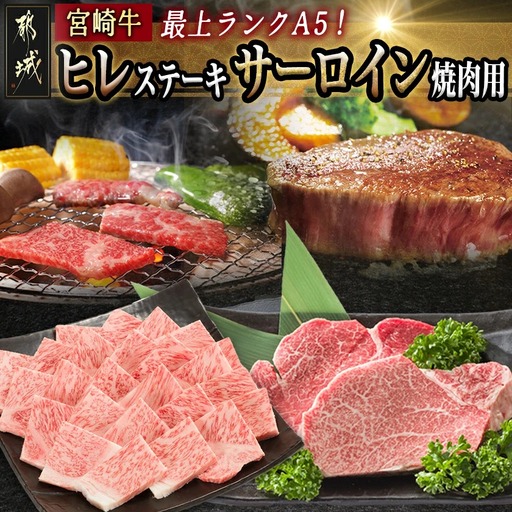 A5 宮崎牛 ヒレステーキ&サーロイン焼肉用〔AF-0109〕_(都城市) 都城産宮崎牛 A5ランク ヒレステーキ 100g×2枚 サーロイン焼肉用 400g ギフト 贈答用