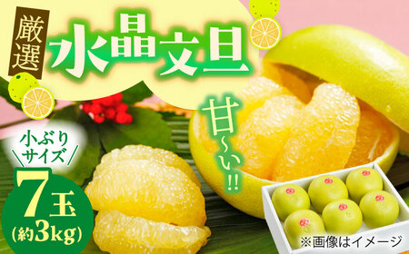 [先行予約] 厳選・水晶文旦 約3kg(小ぶりサイズ7玉入り)[2026年10月初旬〜2026年11月下旬頃発送] / 文旦 水晶 3kg 小ぶり 7玉 柑橘 果物 フルーツ デザート 季節限定 期間限定 [L+武田青果] [ATIT004]