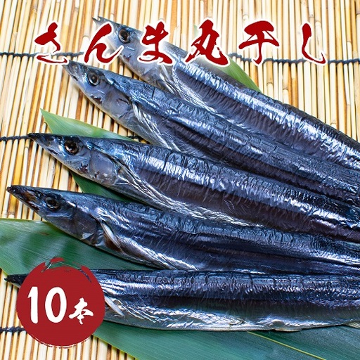 干物 さんま丸干し 10本 さんま干物[mtys0010]
