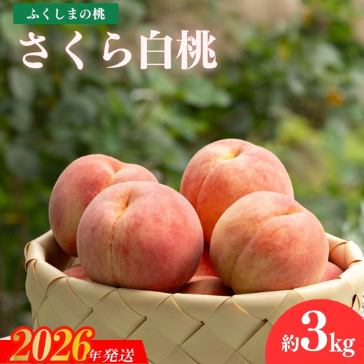 No.2416もも 晩成種「さくら白桃」約3kg【2026年発送】