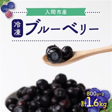 ブルーベリー冷凍　1.6kg【配送不可地域：離島】【1298918】