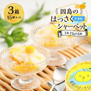因島のはっさくシャーベット(未凍結）（75g×5個）3箱 15個セット