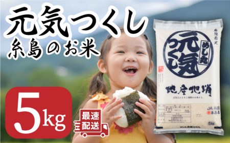 糸島のお米 元気つくし 5kg  糸島市 / 伊都菜彩 [AED015]