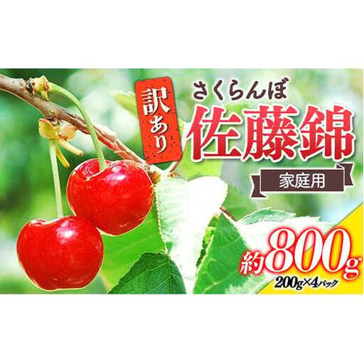 [令和9年産先行予約] [訳あり品 家庭用] さくらんぼ 「佐藤錦」 約800g (200g×4パック Mサイズ) [令和9年6月中旬〜発送] 『田口農園』 サクランボ 生産農家直送 小分け 果物 フルーツ 山形県 南陽市 [1691]