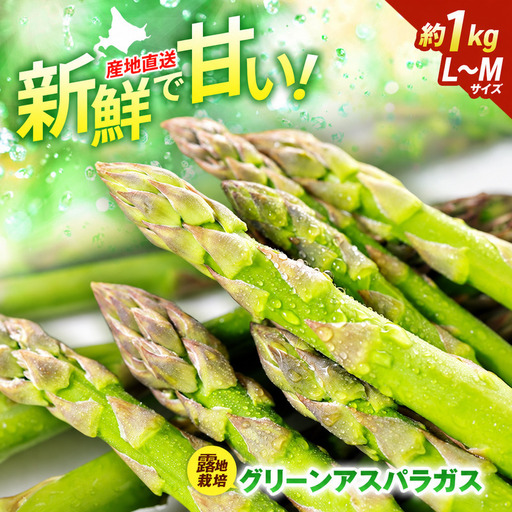 グリーンアスパラ 富良野産 露地 Lサイズ グリーンアスパラ【約1kg】
