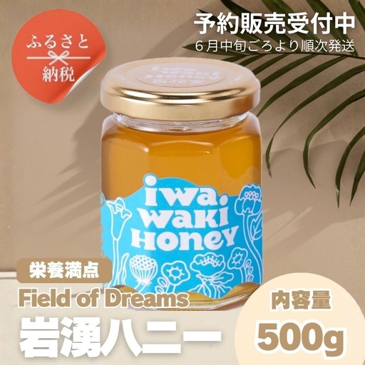 岩湧ハニー 純粋百花はちみつ 500g×1本セット