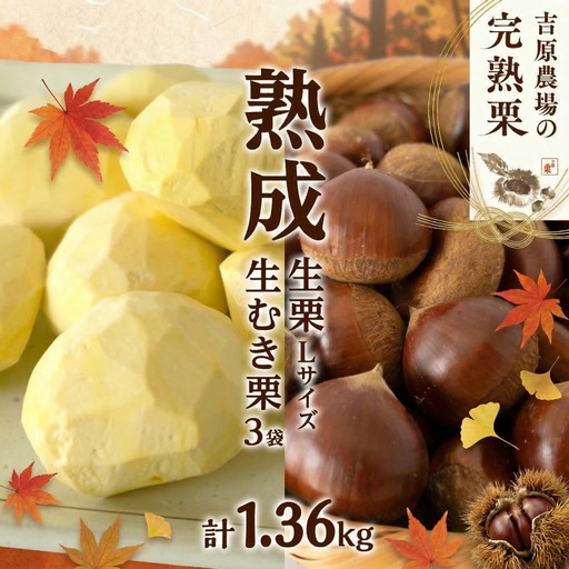[ 吉原農場 の 完熟栗 ] 熟成 生栗 1kg Lサイズ ・ 生むき栗 3袋 セット