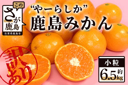 [訳あり][先行予約]高評価4.5以上!やーらしか鹿島産みかん 6.5kg|[数量限定]小粒サイズ ご家庭用|一口で食べられる濃縮旨み|お子様にも|生産者直送 国産 佐賀県産 ミカン 蜜柑 果物 フルーツ 送料無料 人気