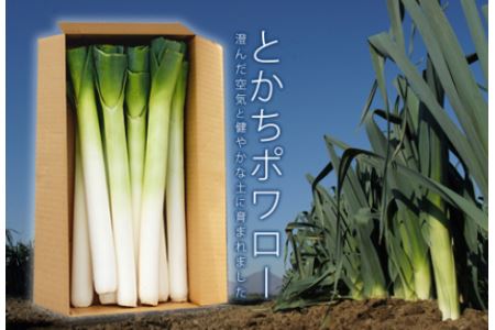 [先行受付] とかちポワロー(リーキ、ポロネギ)たけなかファーム[A50][2026年11月上旬頃より順次発送]