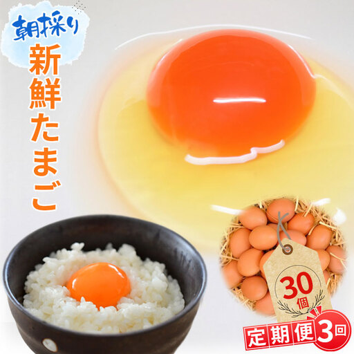 [毎月定期便3回]美味しい産みたて朝採り新鮮たまご(手集卵)ミネラルエッグ30個×3回 / 卵 生卵 鶏卵 濃厚 鮮度抜群 朝取り TKG 卵かけご飯 お取り寄せ グルメ 大容量 まとめ買い 詰め合わせ 弁当 お菓子作り お裾分け 産地直送 厳選 旨み コク 安心安全 千葉県 No.068