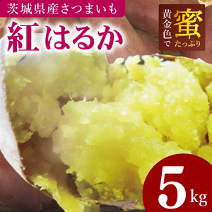 【2026年12月より発送】焼き芋好きのための黄金色で蜜たっぷりサツマイモ 紅はるか 約5kg｜さつまいも サツマイモ お芋 紅はるか 蜜 やきいも 焼き芋 ヤキイモ 茨城県 行方市(BI-71)