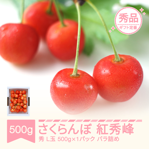 先行予約 さくらんぼ 紅秀峰 秀品 500g×1 令和9年産 mm-bsbax500