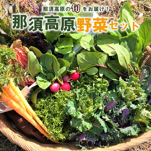 那須ブランド 那須高原野菜セット ｜ 野菜 お野菜 新鮮 詰め合わせ やさい みずみずしい 美味しい 自然 栃木県 那須町〔B-80〕 ※北海道・沖縄・離島への配送不可 ※2025年11月上旬～2026年10月下旬頃に順次発送予定