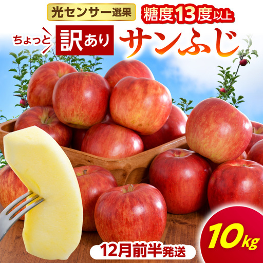 【2026年12月前半発送】【ちょっと訳あり】 りんご 約10kg サンふじ 青森県産 りんご