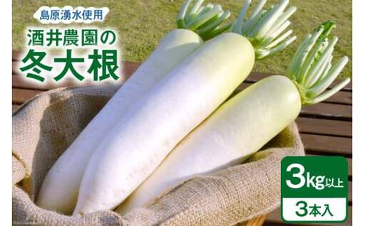 BG080 酒井農園の冬大根 3kg以上（3本入）