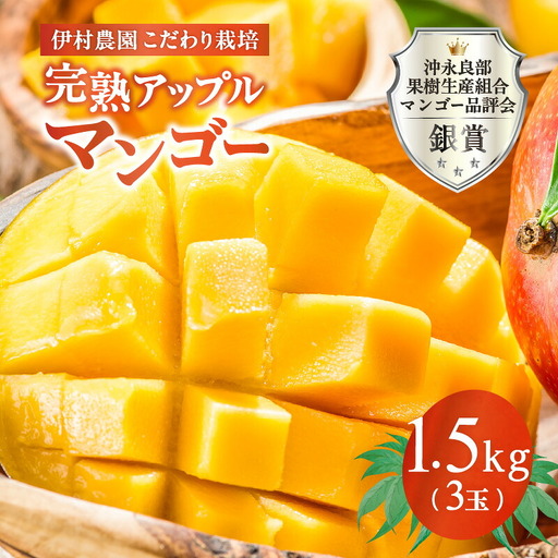 【 2027年 先行予約 】 伊村農園 こだわり 栽培 ！ 完熟 アップルマンゴー 1.5kg （ 3玉 ） W026-003u 果物 マンゴー