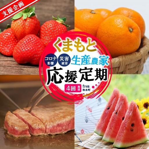 [定期便4回]支援企画!くまもと生産農家応援 定期便 ! 肉 野菜 フルーツ