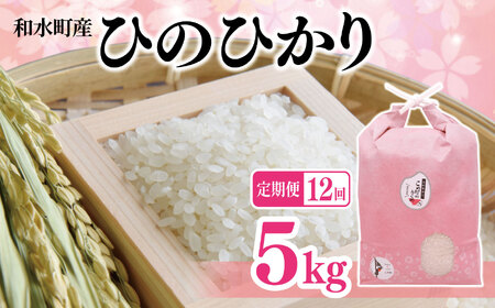 【定期便12回】熊本県産「ひのひかり」5kg | 白米 熊本県 白米 熊本 白米 くまもと 白米 和水町 白米 なごみまち 白米 ひのひかり 白米 ヒノヒカリ 白米 5kg 白米 定期便 白米 12回 白米 毎月発送 白米